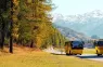 Bus fährt durch herbstliche Landschaft
